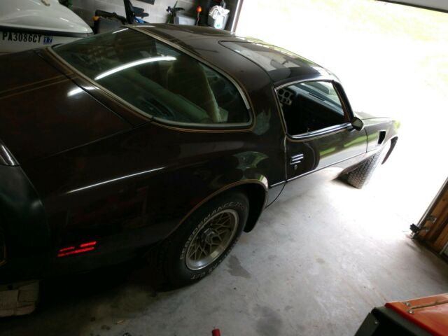 1981 Pontiac Trans Am - photo 9