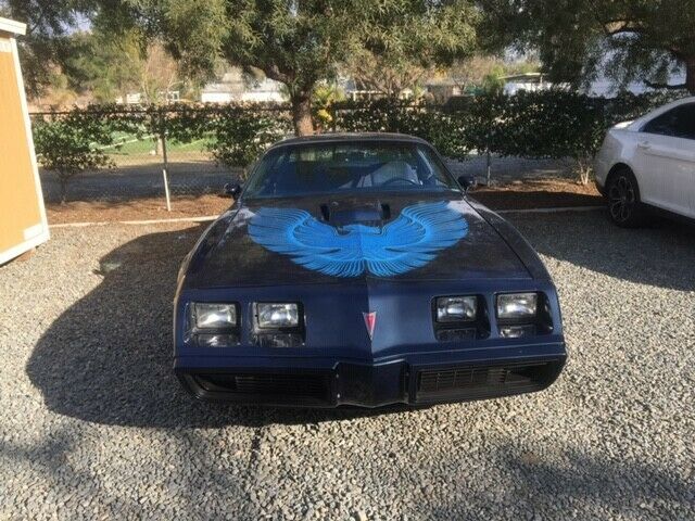 1981 Pontiac Trans Am 4.9L T Tops, W86 car LOW MILES 1981 Pontiac Trans Am