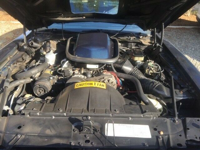 1981 Pontiac Trans Am - photo 12