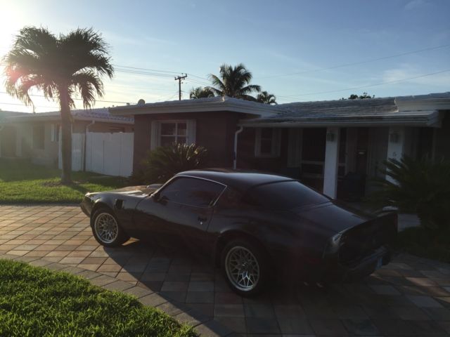 1981 Pontiac Firebird - photo 5