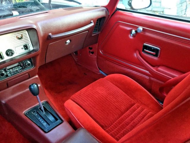 1980 Pontiac Trans Am - photo 10