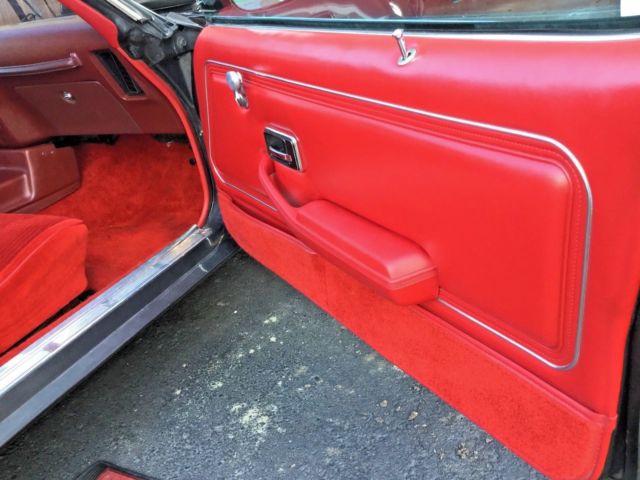 1980 Pontiac Trans Am - photo 13