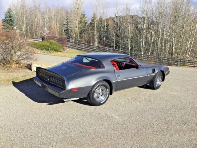 1980 Pontiac Trans Am - photo 4