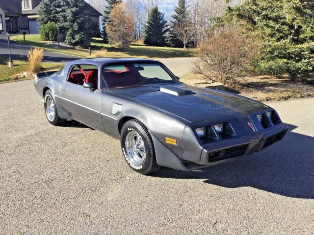 1980 Pontiac Trans Am - photo 6