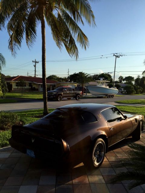 1981 Pontiac Firebird - photo 6