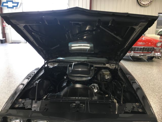 1981 Pontiac Trans Am Trans AM - photo 10