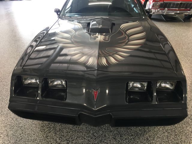 1981 Pontiac Trans Am Trans AM - photo 13