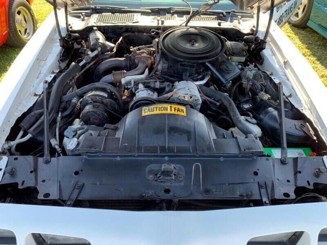 1981 Pontiac Trans Am - photo 11