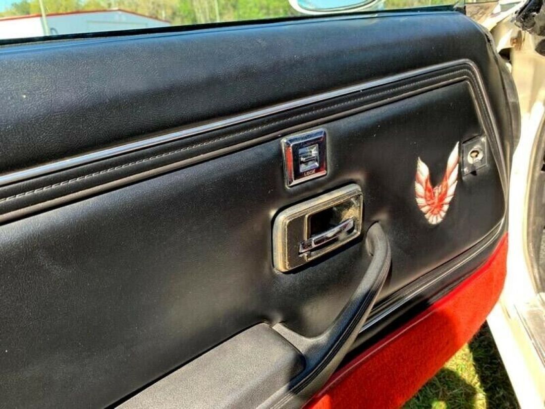 1981 Pontiac Trans Am - photo 4
