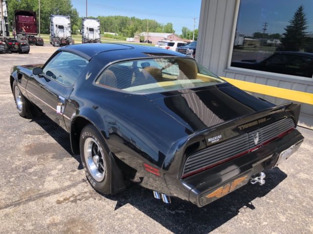 1981 Pontiac Trans Am - photo 11