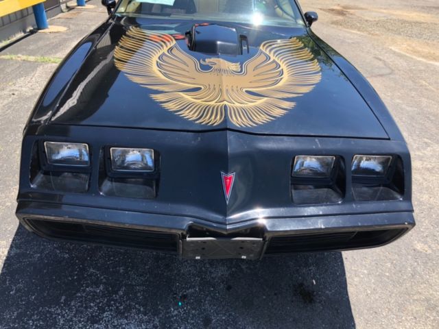 1981 Pontiac Trans Am - photo 2