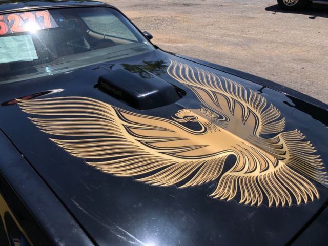 1981 Pontiac Trans Am - photo 6