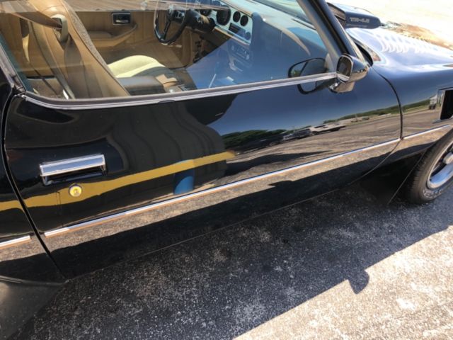 1981 Pontiac Trans Am - photo 7