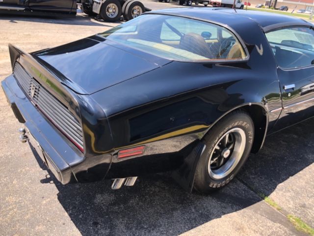 1981 Pontiac Trans Am - photo 8
