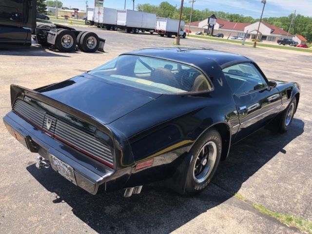 1981 Pontiac Trans Am - photo 9
