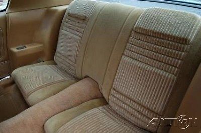 1981 Pontiac Trans Am - photo 12