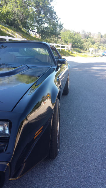 1981 Pontiac Trans Am - photo 3