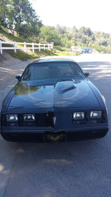 1981 Pontiac Trans Am - photo 5