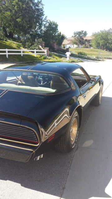 1981 Pontiac Trans Am - photo 9