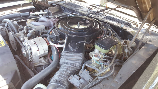 1981 Pontiac Trans Am Special Edition - photo 12