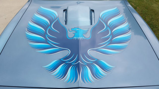 1981 Pontiac Trans Am - photo 3