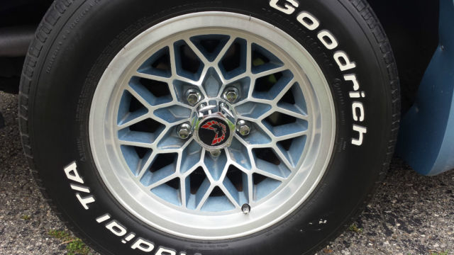 1981 Pontiac Trans Am - photo 5