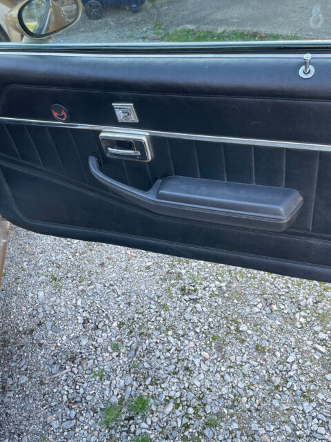 1981 Pontiac Trans Am - photo 10