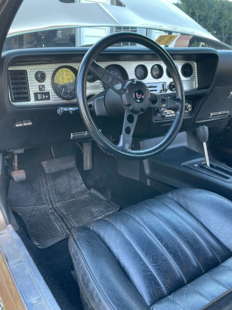 1981 Pontiac Trans Am - photo 13
