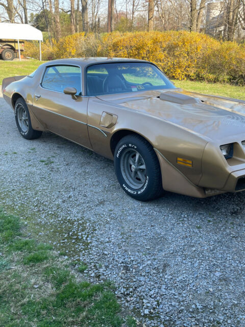 1981 Pontiac Trans Am - photo 3