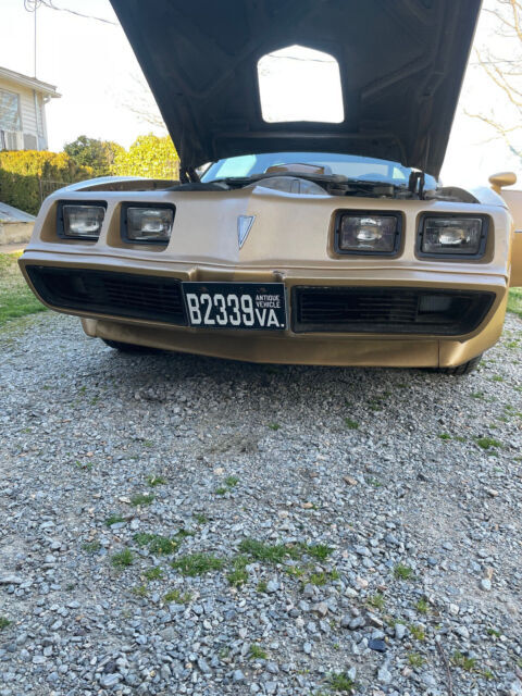 1981 Pontiac Trans Am - photo 4