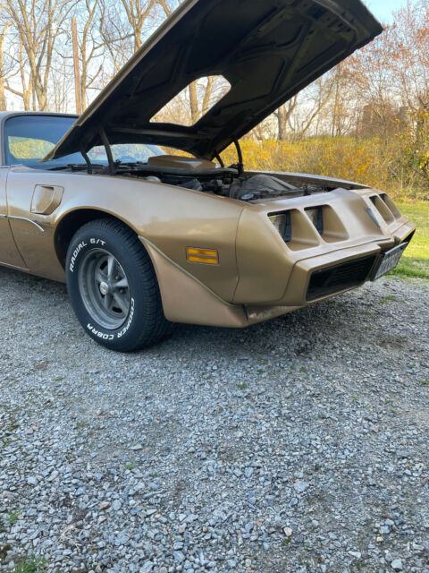 1981 Pontiac Trans Am - photo 5