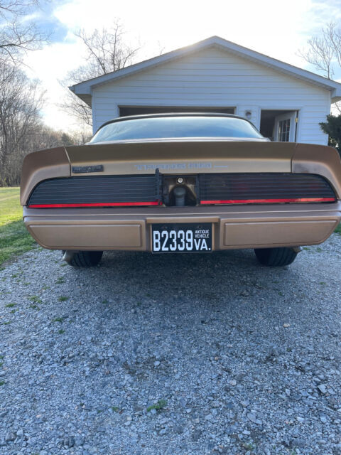 1981 Pontiac Trans Am - photo 6