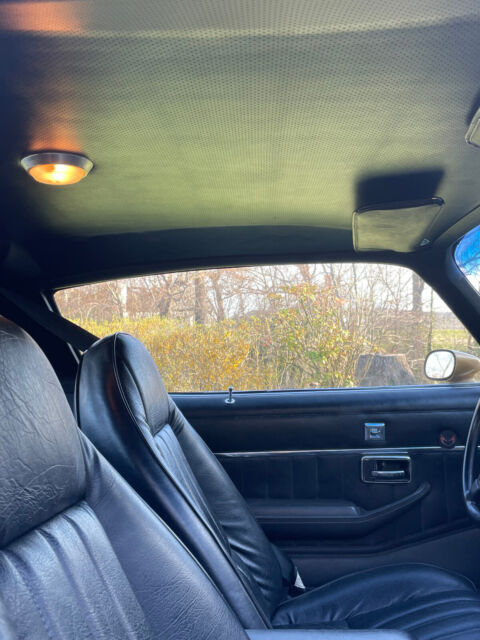 1981 Pontiac Trans Am - photo 8