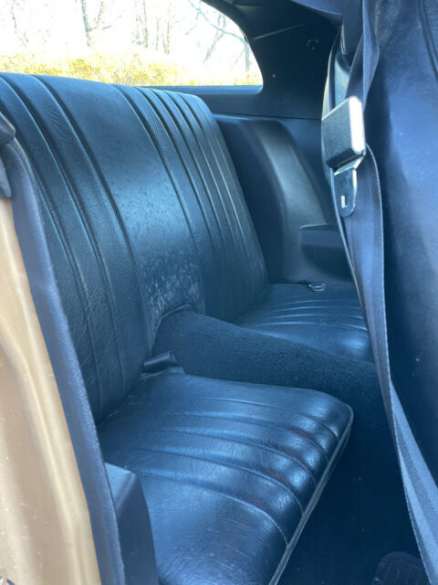 1981 Pontiac Trans Am - photo 9