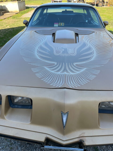1981 Pontiac Trans Am TRANS AM
