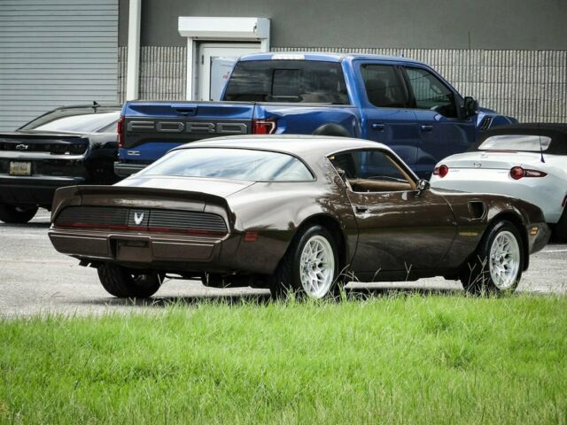 1981 Pontiac Trans Am Coupe - photo 10