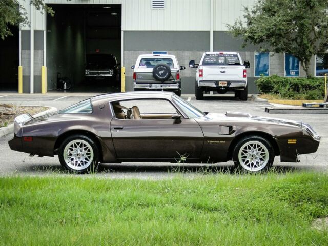 1981 Pontiac Trans Am Coupe - photo 11