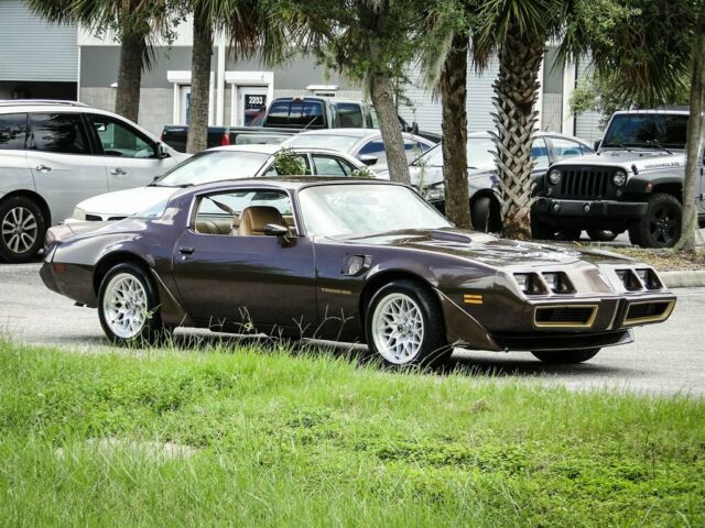 1981 Pontiac Trans Am Coupe - photo 12