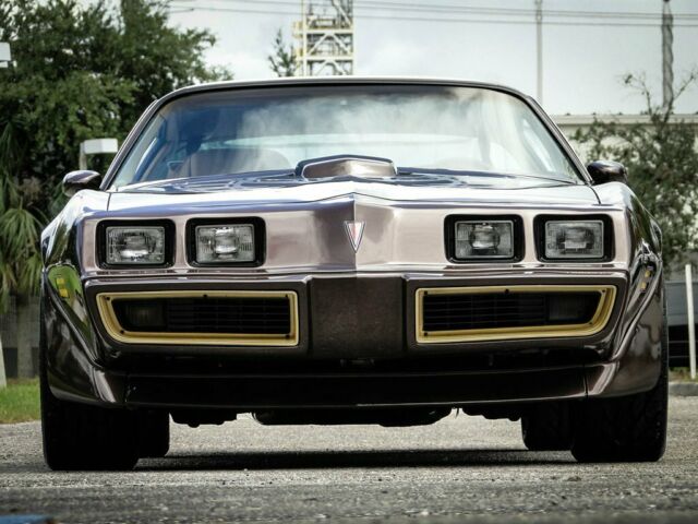 1981 Pontiac Trans Am Coupe - photo 13