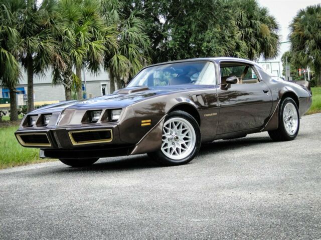 1981 Pontiac Trans Am Coupe - photo 3