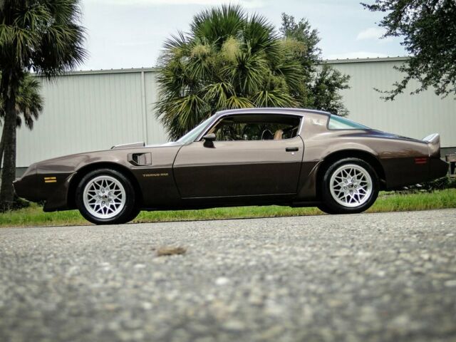 1981 Pontiac Trans Am Coupe - photo 5