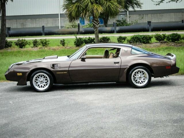 1981 Pontiac Trans Am Coupe - photo 6