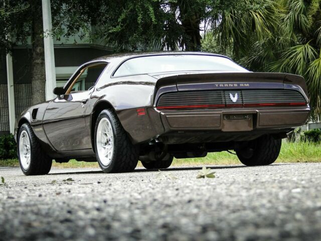 1981 Pontiac Trans Am Coupe - photo 7