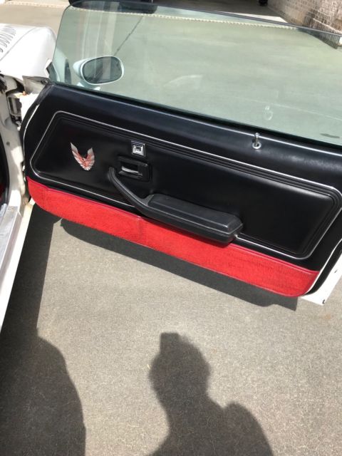 1981 Pontiac Trans Am - photo 10