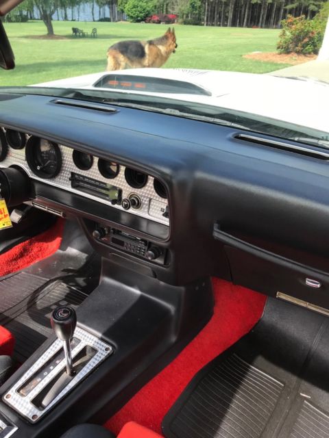 1981 Pontiac Trans Am - photo 12
