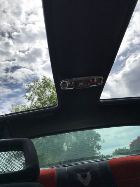 1981 Pontiac Trans Am - photo 13