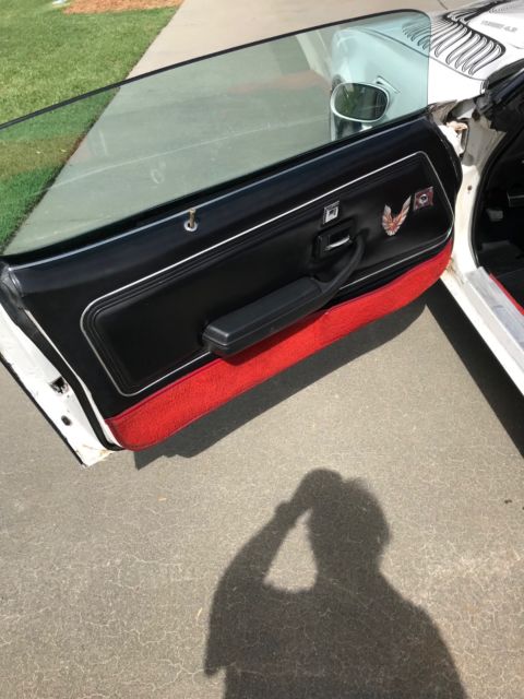 1981 Pontiac Trans Am - photo 6