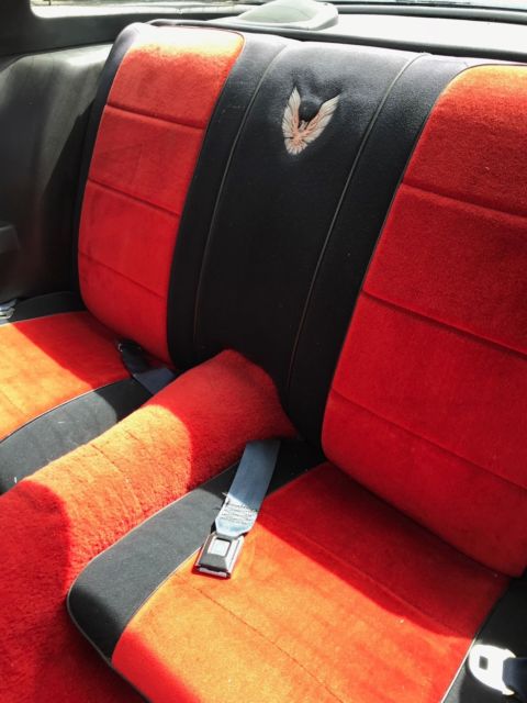 1981 Pontiac Trans Am - photo 9