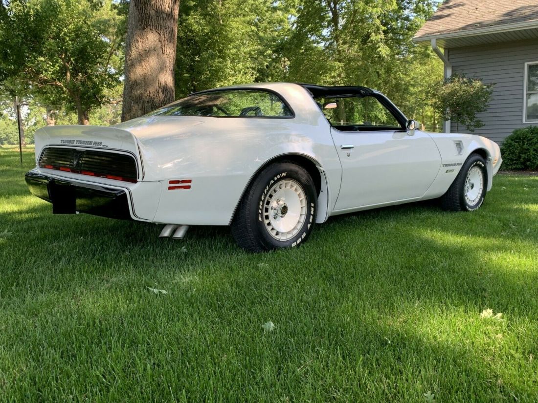 1981 Pontiac Trans Am - photo 10