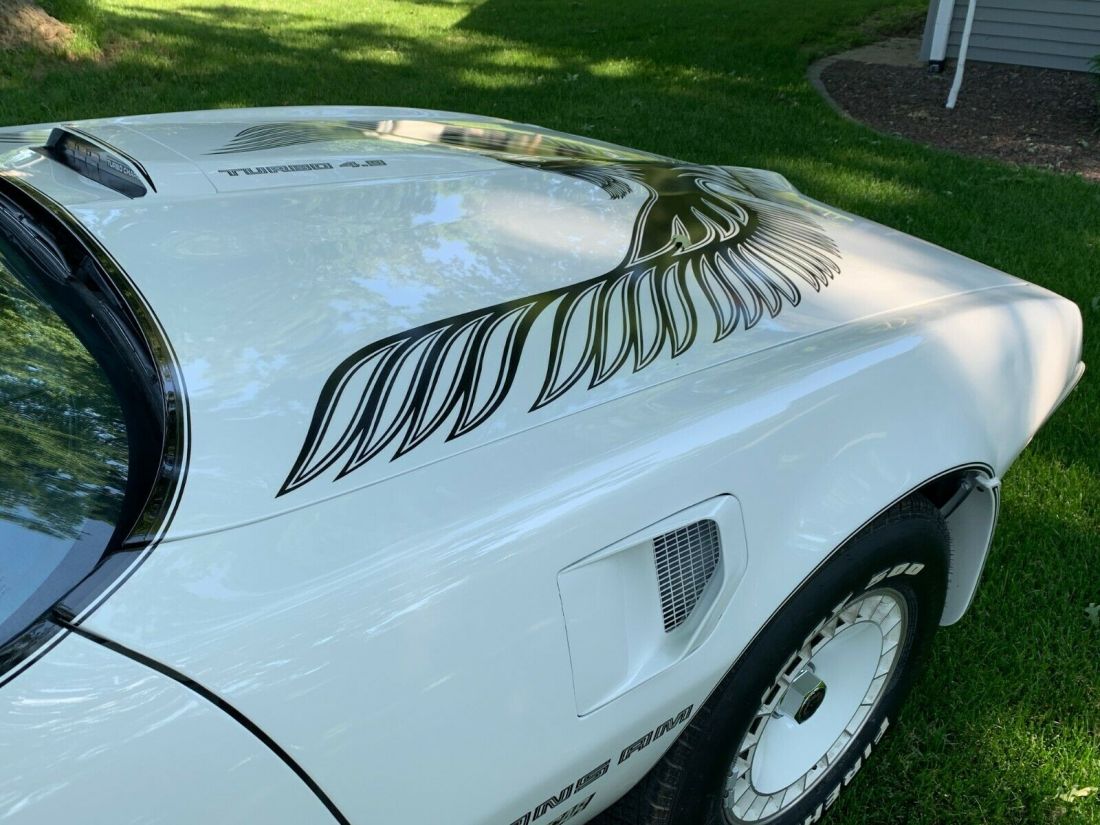 1981 Pontiac Trans Am - photo 2